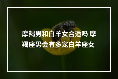 摩羯男和白羊女合适吗 摩羯座男会有多宠白羊座女