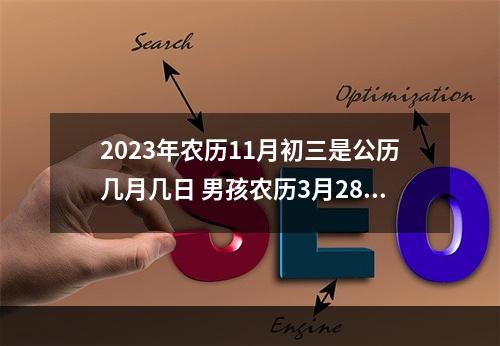 2023年农历11月初三是公历几月几日 男孩农历3月28日出生好不好