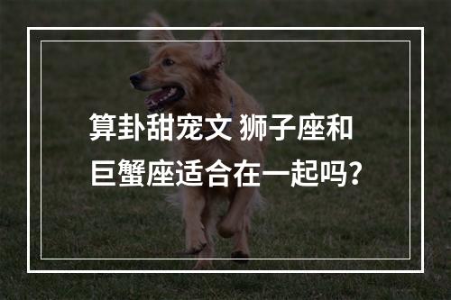 算卦甜宠文 狮子座和巨蟹座适合在一起吗？