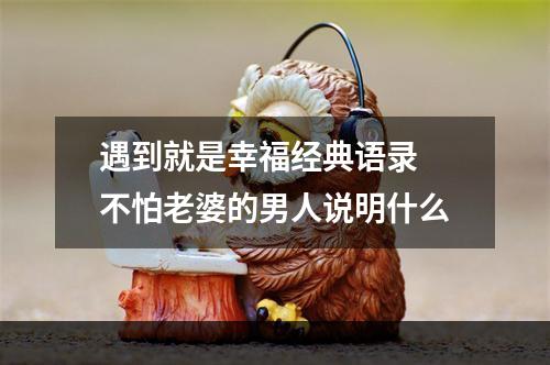 遇到就是幸福经典语录 不怕老婆的男人说明什么