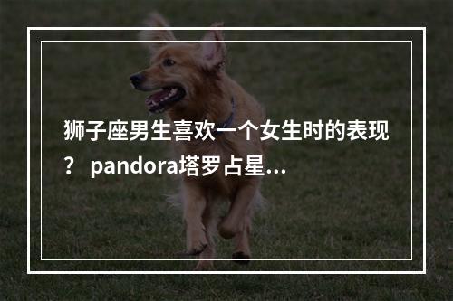 狮子座男生喜欢一个女生时的表现？ pandora塔罗占星小巫准吗