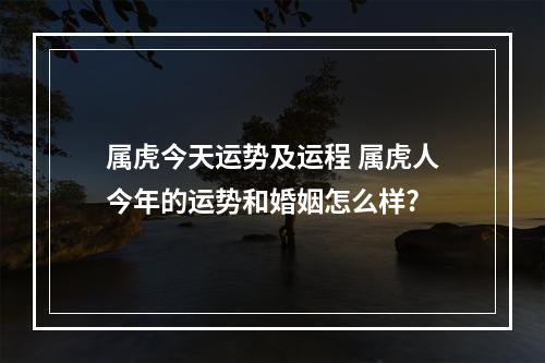 属虎今天运势及运程 属虎人今年的运势和婚姻怎么样?