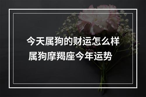 今天属狗的财运怎么样 属狗摩羯座今年运势