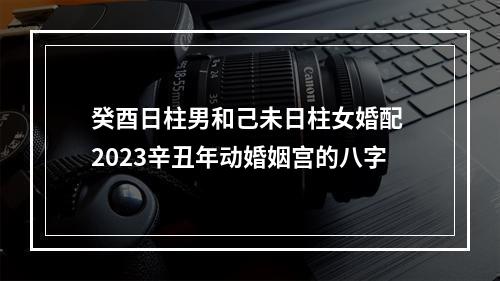 癸酉日柱男和己未日柱女婚配 2023辛丑年动婚姻宫的八字
