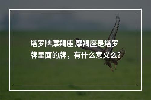 塔罗牌摩羯座 摩羯座是塔罗牌里面的牌，有什么意义么？