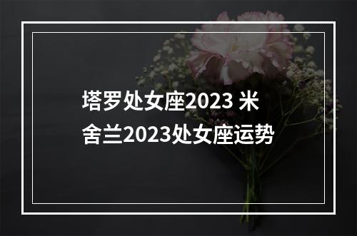 塔罗处女座2023 米舍兰2023处女座运势