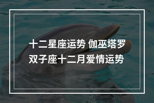 十二星座运势 伽巫塔罗双子座十二月爱情运势