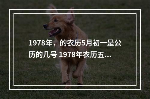 1978年，的农历5月初一是公历的几号 1978年农历五月初一是什么星座