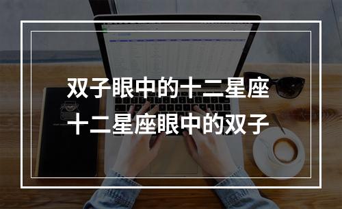 双子眼中的十二星座 十二星座眼中的双子