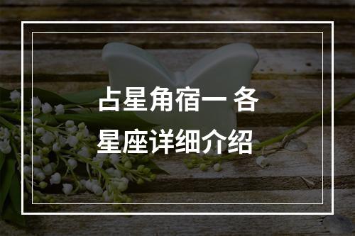 占星角宿一 各星座详细介绍