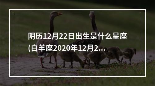 阴历12月22日出生是什么星座(白羊座2020年12月22日运势)