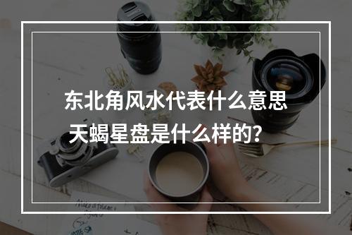 东北角风水代表什么意思 天蝎星盘是什么样的？