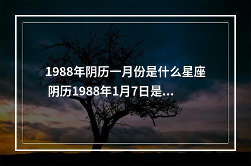 1988年阴历一月份是什么星座 阴历1988年1月7日是什么星座