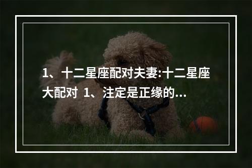 1、十二星座配对夫妻:十二星座大配对  1、注定是正缘的星座配对:十二星座情侣配对？