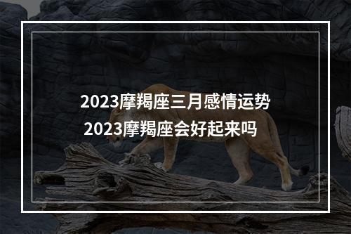 2023摩羯座三月感情运势 2023摩羯座会好起来吗