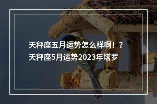 天秤座五月运势怎么样啊！？ 天秤座5月运势2023年塔罗