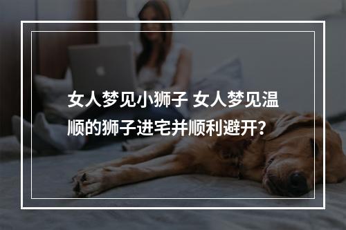 女人梦见小狮子 女人梦见温顺的狮子进宅并顺利避开？