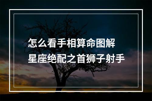 怎么看手相算命图解 星座绝配之首狮子射手