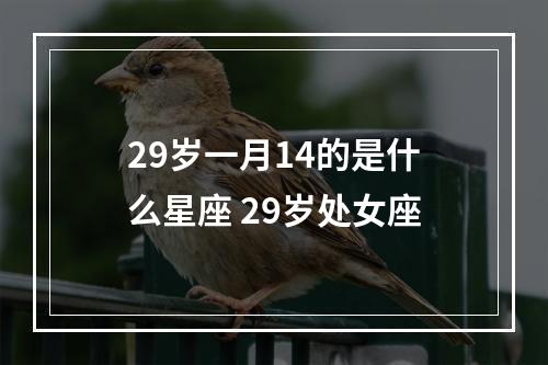 29岁一月14的是什么星座 29岁处女座