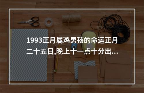 1993正月属鸡男孩的命运正月二十五日,晚上十一点十分出生出生? 属鸡93年正月是什么命