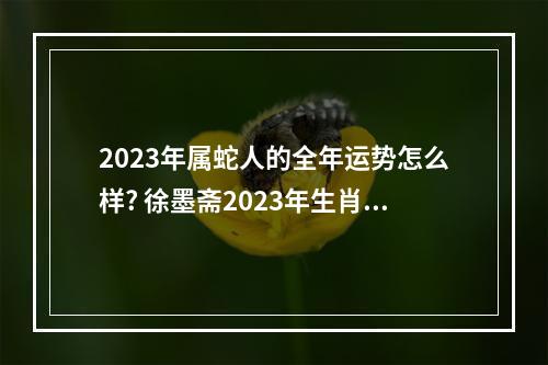 2023年属蛇人的全年运势怎么样? 徐墨斋2023年生肖运程