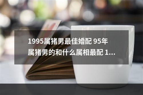 1995属猪男最佳婚配 95年属猪男的和什么属相最配 1995年属猪男生婚配表