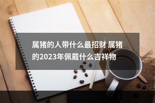 属猪的人带什么最招财 属猪的2023年佩戴什么吉祥物