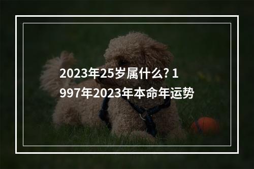 2023年25岁属什么? 1997年2023年本命年运势