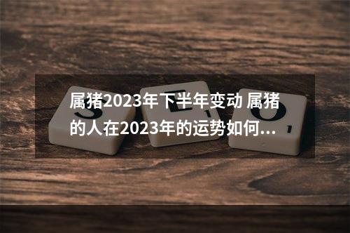 属猪2023年下半年变动 属猪的人在2023年的运势如何?