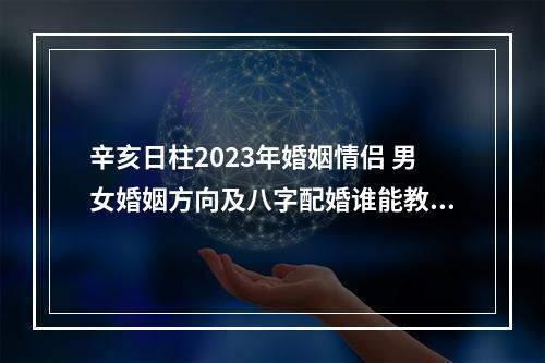 辛亥日柱2023年婚姻情侣 男女婚姻方向及八字配婚谁能教教我?