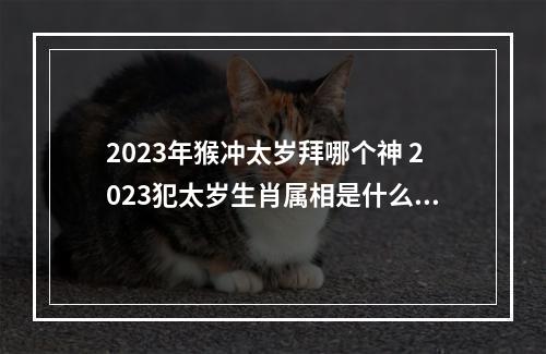 2023年猴冲太岁拜哪个神 2023犯太岁生肖属相是什么怎么躲太岁