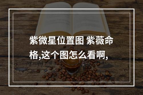 紫微星位置图 紫薇命格,这个图怎么看啊,