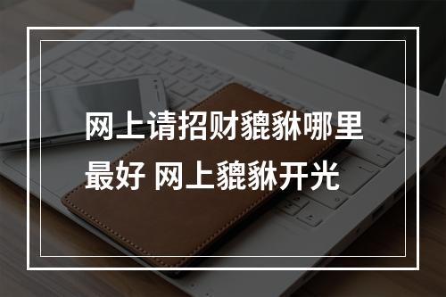 网上请招财貔貅哪里最好 网上貔貅开光