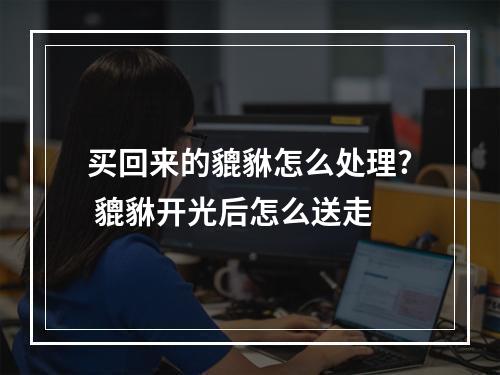 买回来的貔貅怎么处理? 貔貅开光后怎么送走