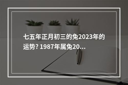 七五年正月初三的兔2023年的运势? 1987年属兔2023财运