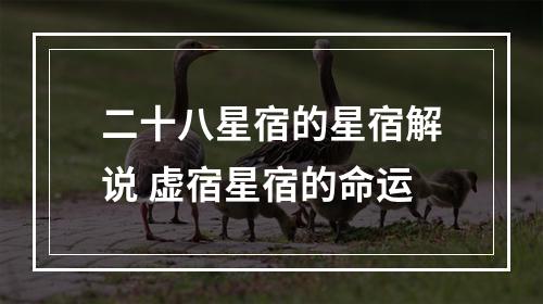 二十八星宿的星宿解说 虚宿星宿的命运