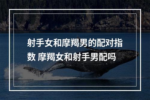 射手女和摩羯男的配对指数 摩羯女和射手男配吗