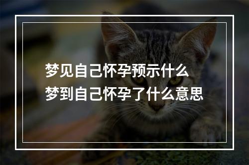梦见自己怀孕预示什么 梦到自己怀孕了什么意思