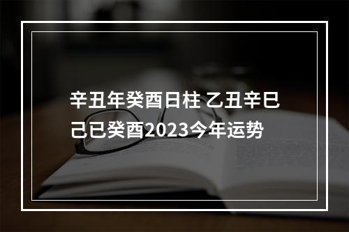 辛丑年癸酉日柱 乙丑辛巳己已癸酉2023今年运势