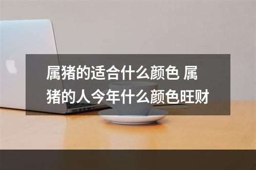 属猪的适合什么颜色 属猪的人今年什么颜色旺财