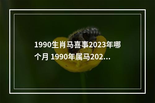 1990生肖马喜事2023年哪个月 1990年属马2023年运势如何?