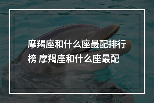 摩羯座和什么座最配排行榜 摩羯座和什么座最配