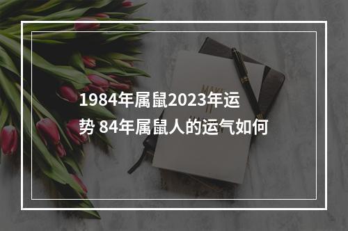 1984年属鼠2023年运势 84年属鼠人的运气如何