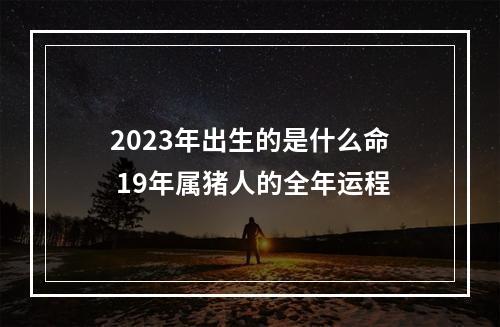 2023年出生的是什么命 19年属猪人的全年运程