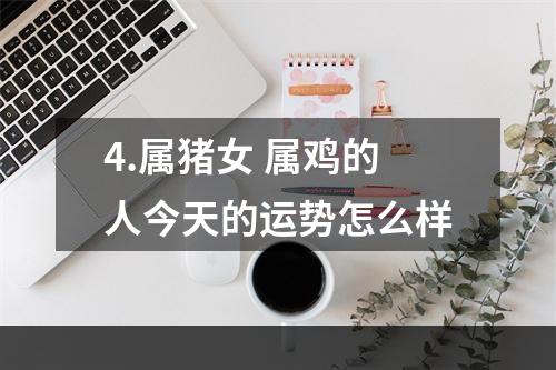 4.属猪女 属鸡的人今天的运势怎么样