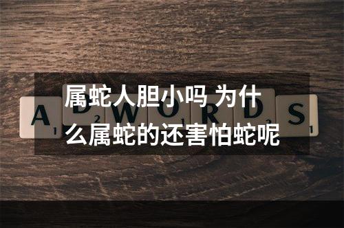 属蛇人胆小吗 为什么属蛇的还害怕蛇呢