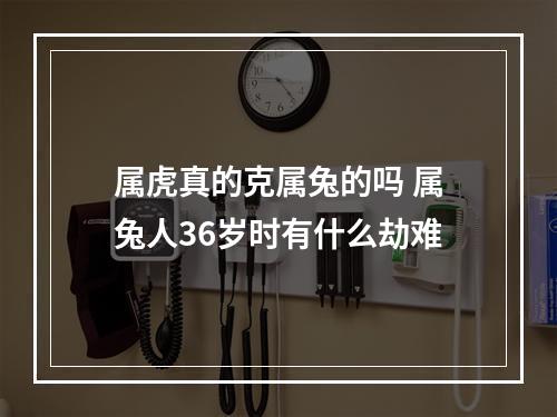 属虎真的克属兔的吗 属兔人36岁时有什么劫难