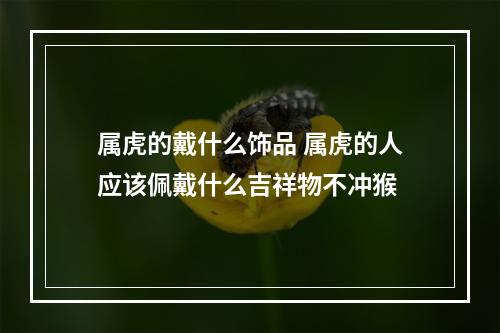 属虎的戴什么饰品 属虎的人应该佩戴什么吉祥物不冲猴