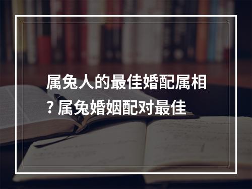 属兔人的最佳婚配属相? 属兔婚姻配对最佳