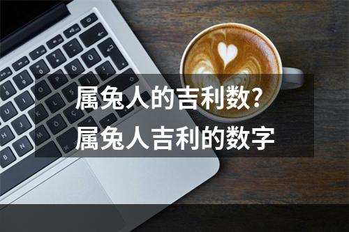 属兔人的吉利数? 属兔人吉利的数字